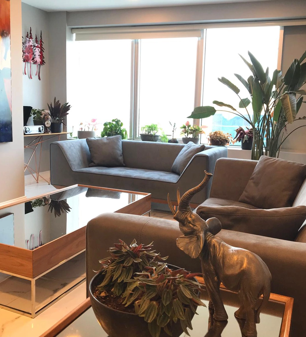 Op. Dr. G. Arda Pelen consultation room, İstanbul